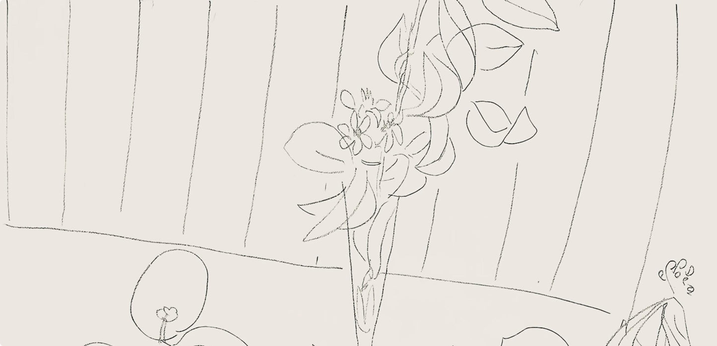 Henri Matisse, Srie M, Var. 5 (Duthuit 9), Henri Matisse, Dessins, Thmes Et Variations, Lithograph