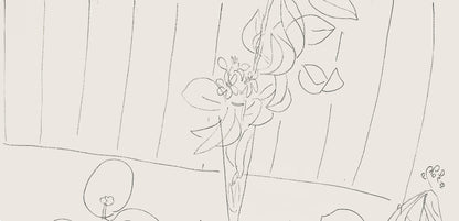 Henri Matisse, Srie M, Var. 5 (Duthuit 9), Henri Matisse, Dessins, Thmes Et Variations, Lithograph