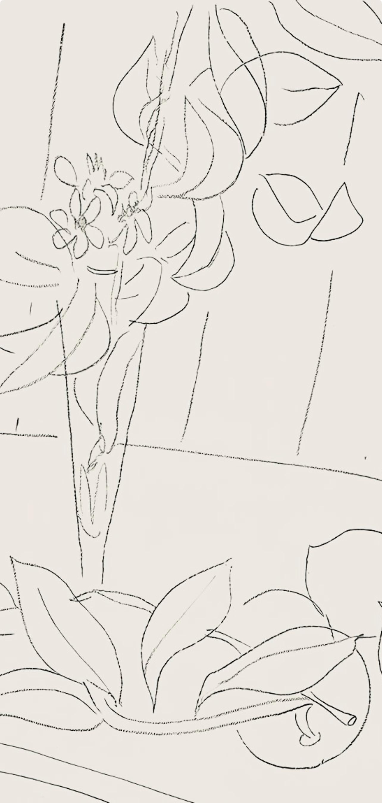 Henri Matisse, Srie M, Var. 5 (Duthuit 9), Henri Matisse, Dessins, Thmes Et Variations, Lithograph