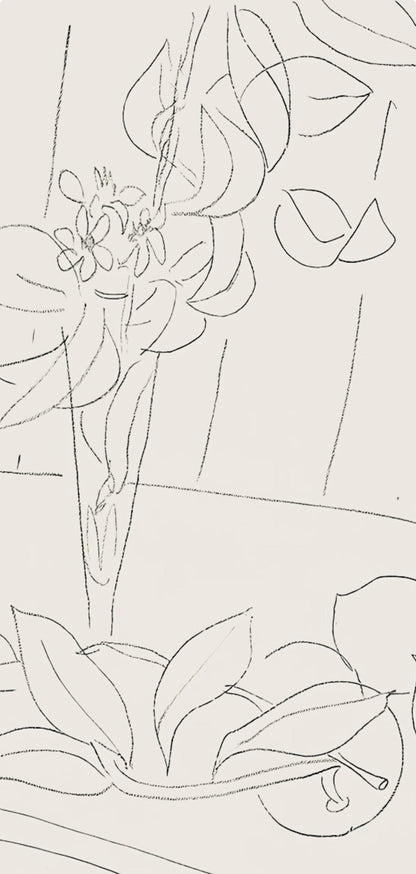 Henri Matisse, Srie M, Var. 5 (Duthuit 9), Henri Matisse, Dessins, Thmes Et Variations, Lithograph