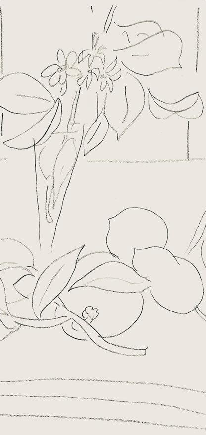 Henri Matisse, Srie M, Var. 7 (Duthuit 9), Henri Matisse, Dessins, Thmes Et Variations, Lithograph