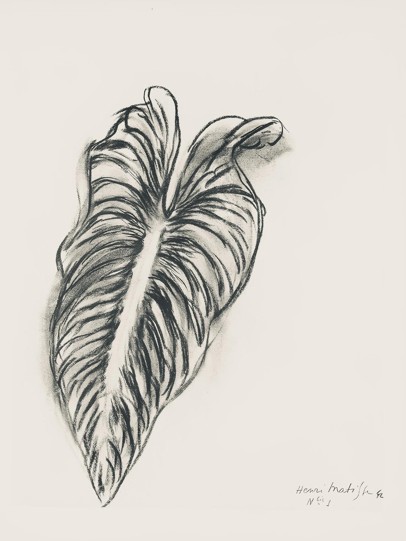 Henri Matisse, Srie N Gc'S, Var. 1 (Duthuit 9), Henri Matisse, Dessins, Thmes Et Variations,