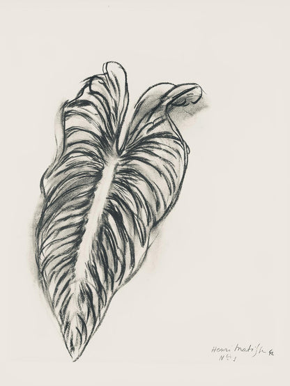 Henri Matisse, Srie N Gc'S, Var. 1 (Duthuit 9), Henri Matisse, Dessins, Thmes Et Variations,