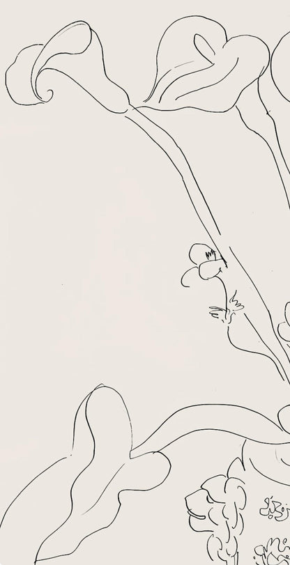 Henri Matisse, Srie N Gc'S, Var. 6 (Duthuit 9), Henri Matisse, Dessins, Thmes Et Variations,