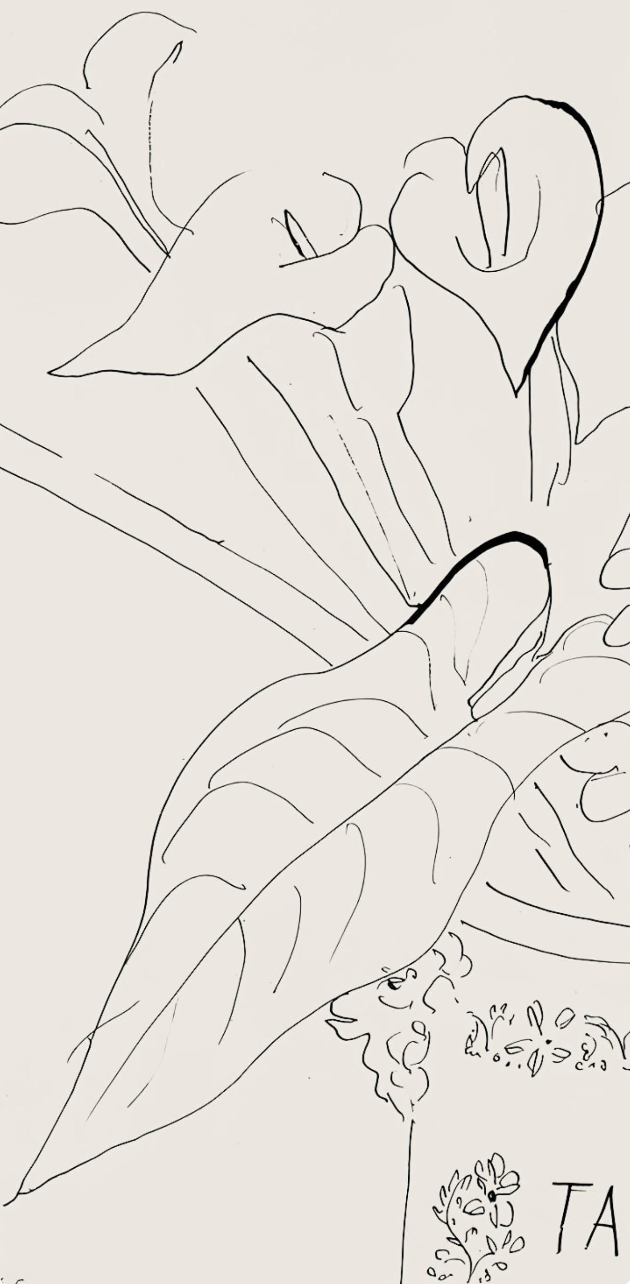 Henri Matisse, Srie N Gc'S, Var. 5 (Duthuit 9), Henri Matisse, Dessins, Thmes Et Variations,