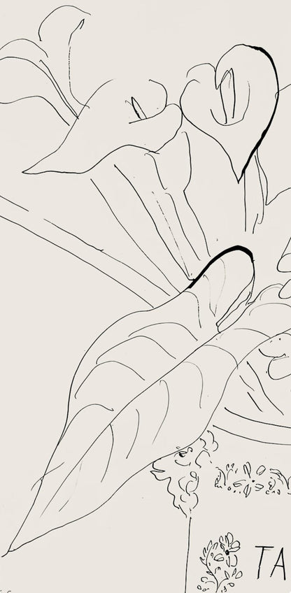 Henri Matisse, Srie N Gc'S, Var. 5 (Duthuit 9), Henri Matisse, Dessins, Thmes Et Variations,