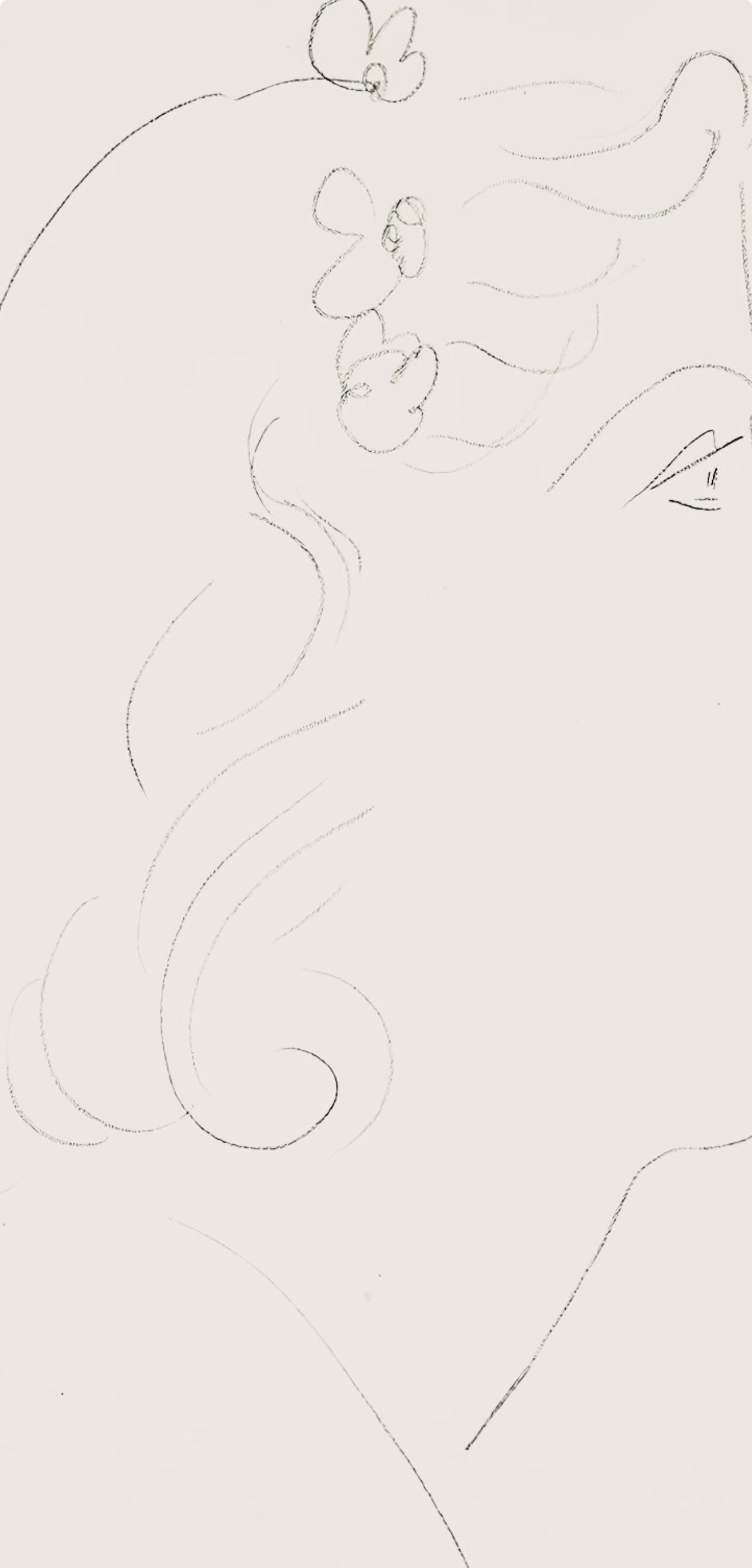 Henri Matisse, Srie O, Var. 13 (Duthuit 9), Henri Matisse, Dessins, Thmes Et Variations, Lithograph