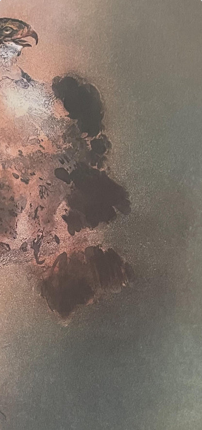 Kaiko Moti, Falcon, Original Edition Offset Lithograph