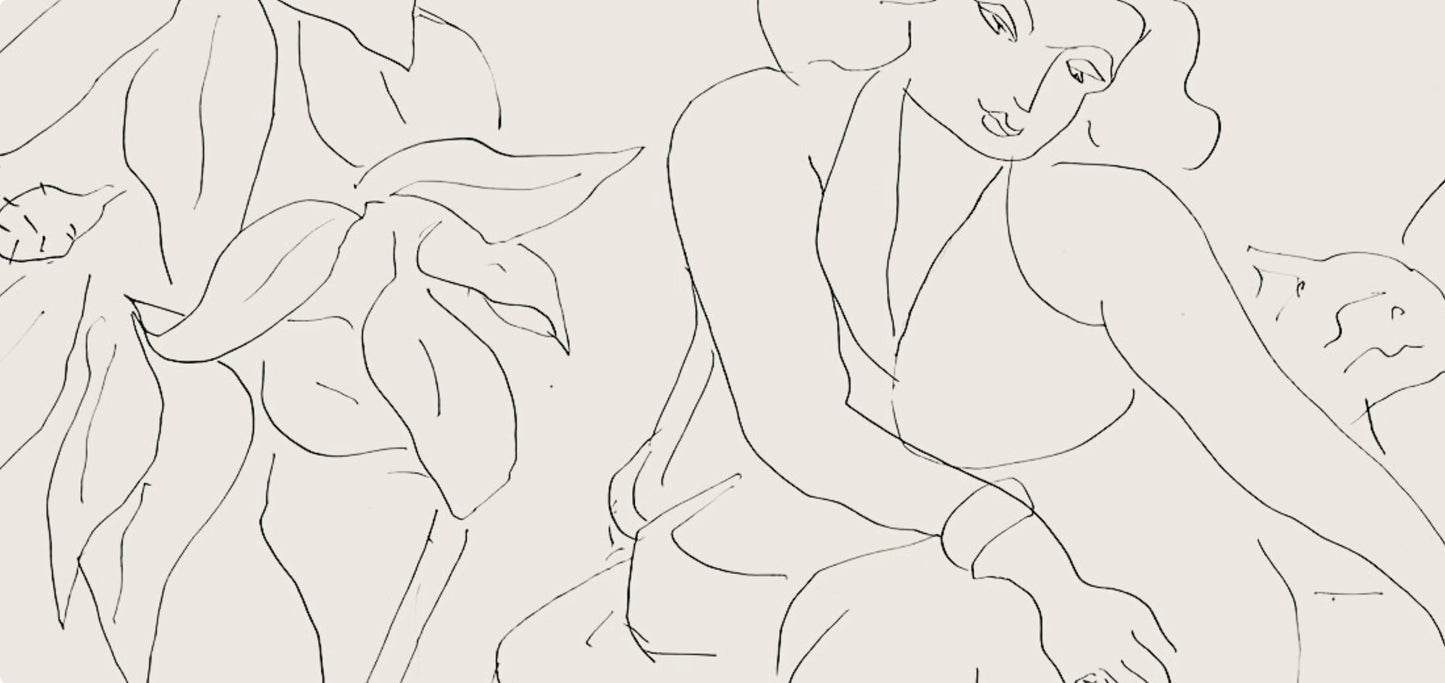 Henri Matisse, Srie E, Var. 11 (Duthuit 9), Henri Matisse, Dessins, Thmes Et Variations, Lithograph