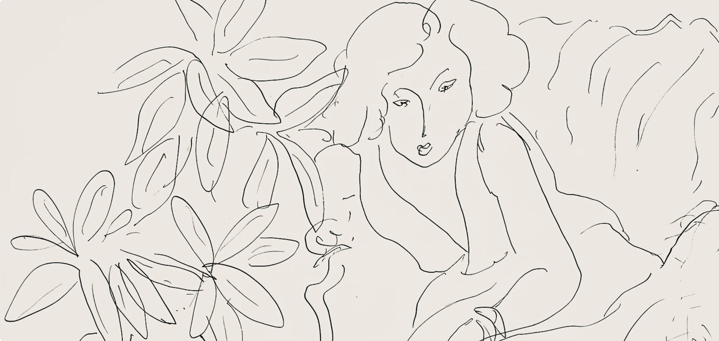 Henri Matisse, Srie E, Var. 12 (Duthuit 9), Henri Matisse, Dessins, Thmes Et Variations, Lithograph