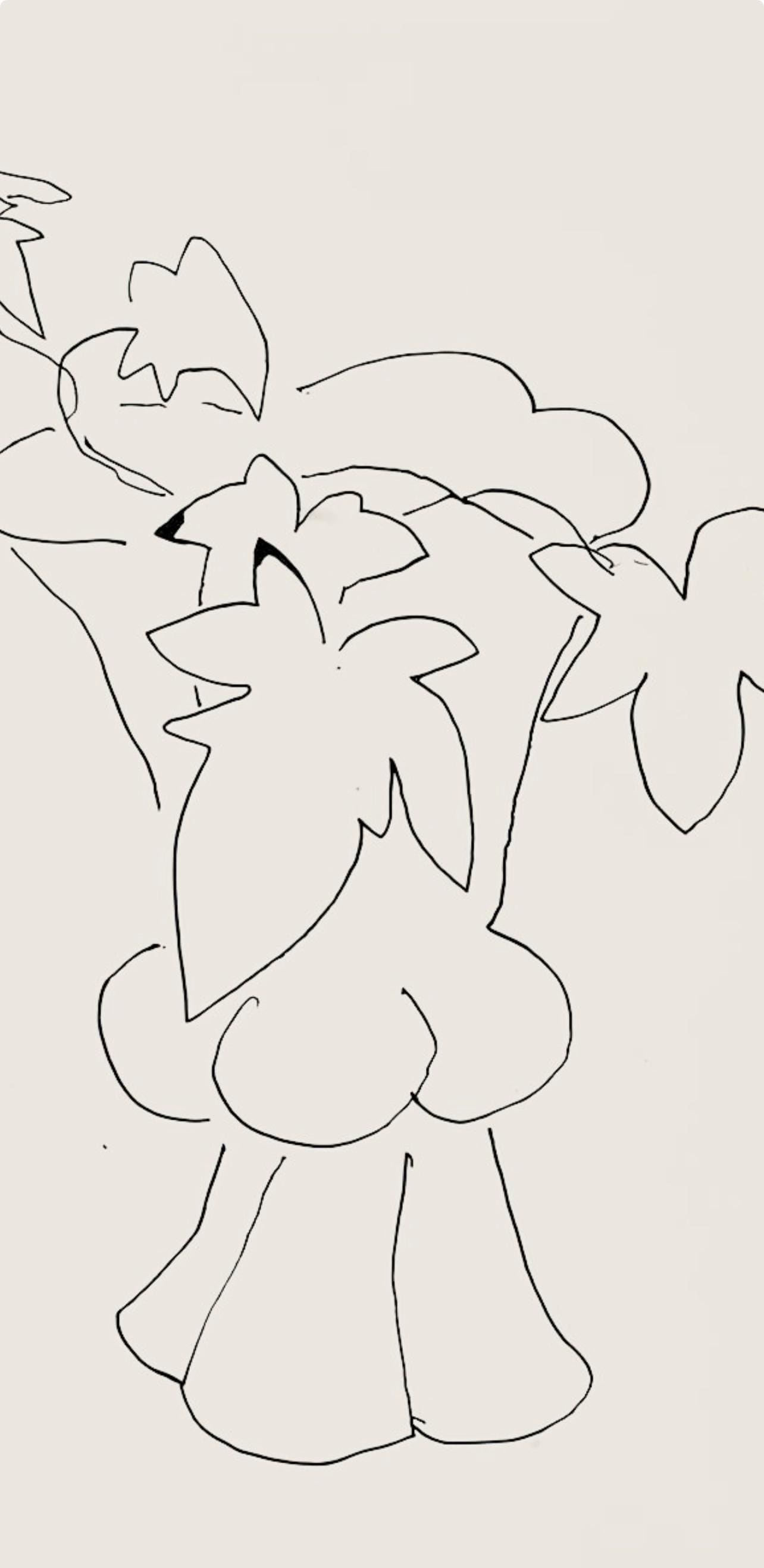 Henri Matisse, Srie H, Var. 2 (Duthuit 9), Henri Matisse, Dessins, Thmes Et Variations, Lithograph