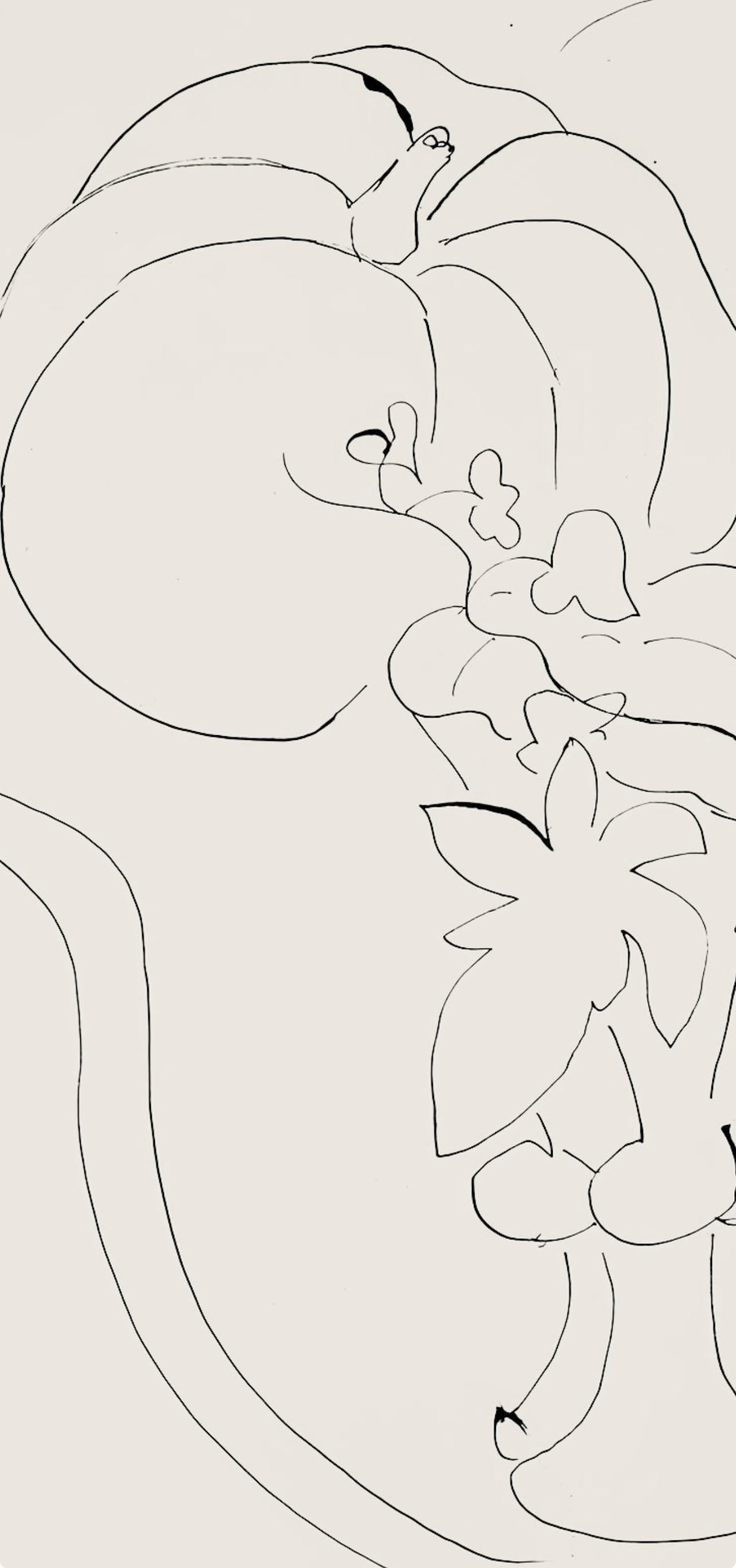 Henri Matisse, Srie H, Var. 6 (Duthuit 9), Henri Matisse, Dessins, Thmes Et Variations, Lithograph