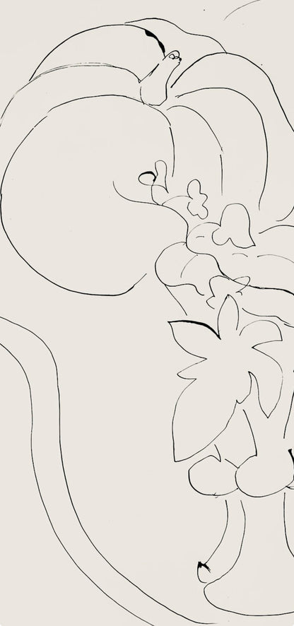 Henri Matisse, Srie H, Var. 6 (Duthuit 9), Henri Matisse, Dessins, Thmes Et Variations, Lithograph