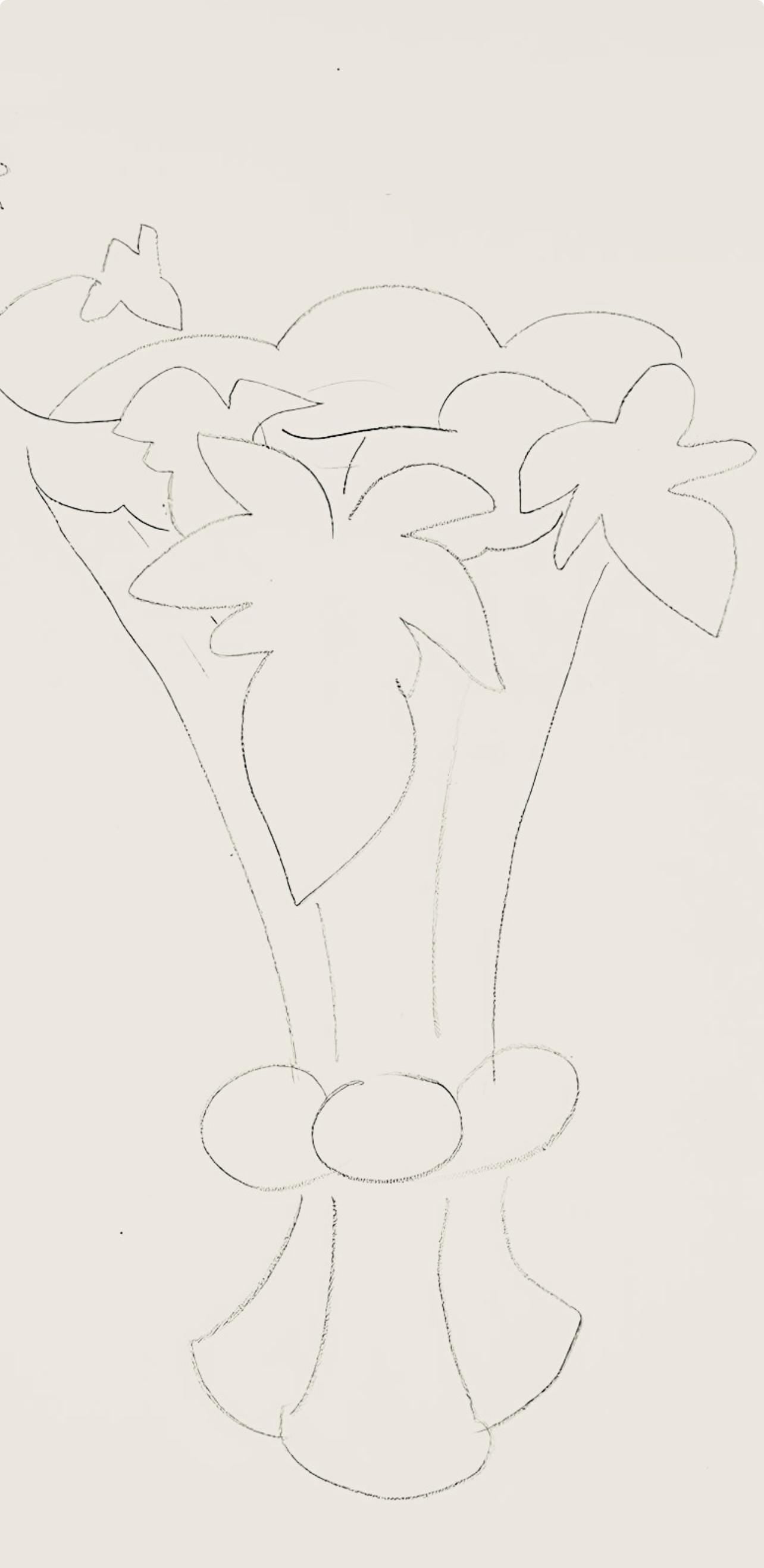 Henri Matisse, Srie H, Var. 5 (Duthuit 9), Henri Matisse, Dessins, Thmes Et Variations, Lithograph