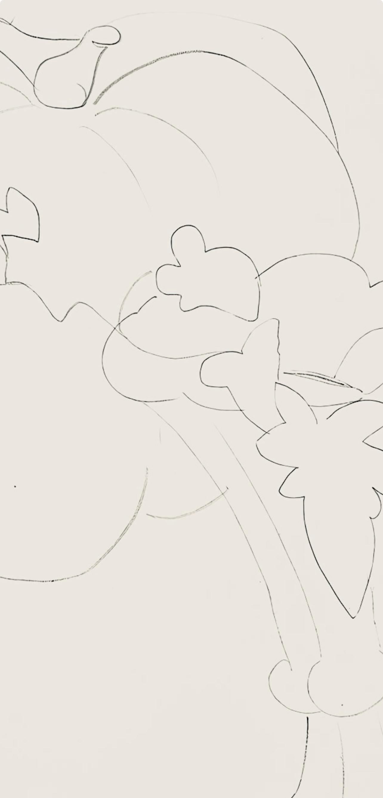 Henri Matisse, Srie H, Var. 9 (Duthuit 9), Henri Matisse, Dessins, Thmes Et Variations, Lithograph