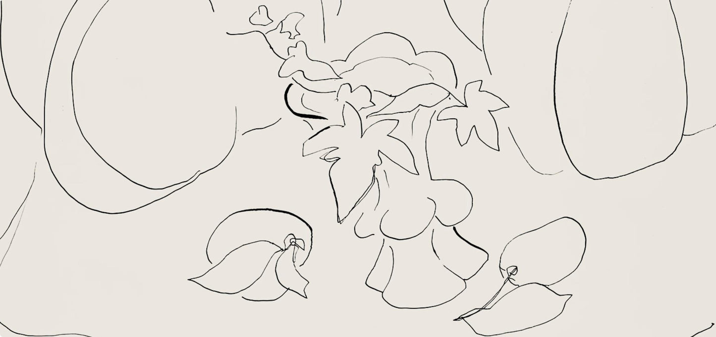 Henri Matisse, Srie H, Var. 7 (Duthuit 9), Henri Matisse, Dessins, Thmes Et Variations, Lithograph