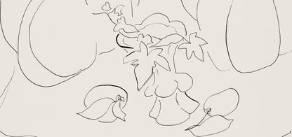 Henri Matisse, Srie H, Var. 7 (Duthuit 9), Henri Matisse, Dessins, Thmes Et Variations, Lithograph