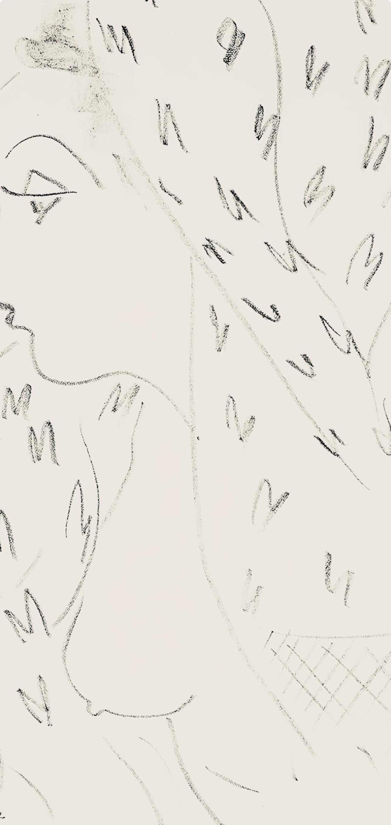 Henri Matisse, Srie L, Var. 17 (Duthuit 9), Henri Matisse, Dessins, Thmes Et Variations, Lithograph