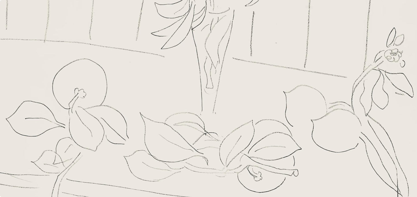 Henri Matisse, Srie M, Var. 5 (Duthuit 9), Henri Matisse, Dessins, Thmes Et Variations, Lithograph