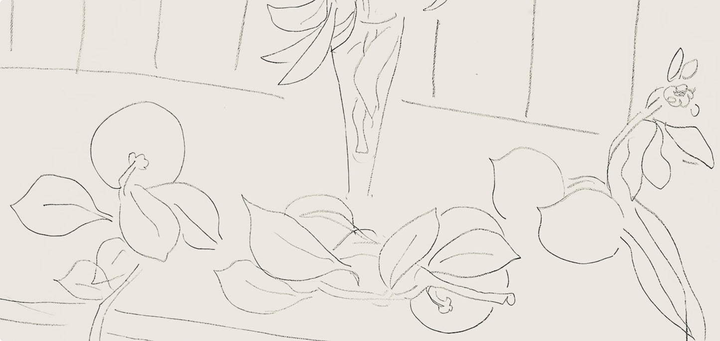 Henri Matisse, Srie M, Var. 5 (Duthuit 9), Henri Matisse, Dessins, Thmes Et Variations, Lithograph