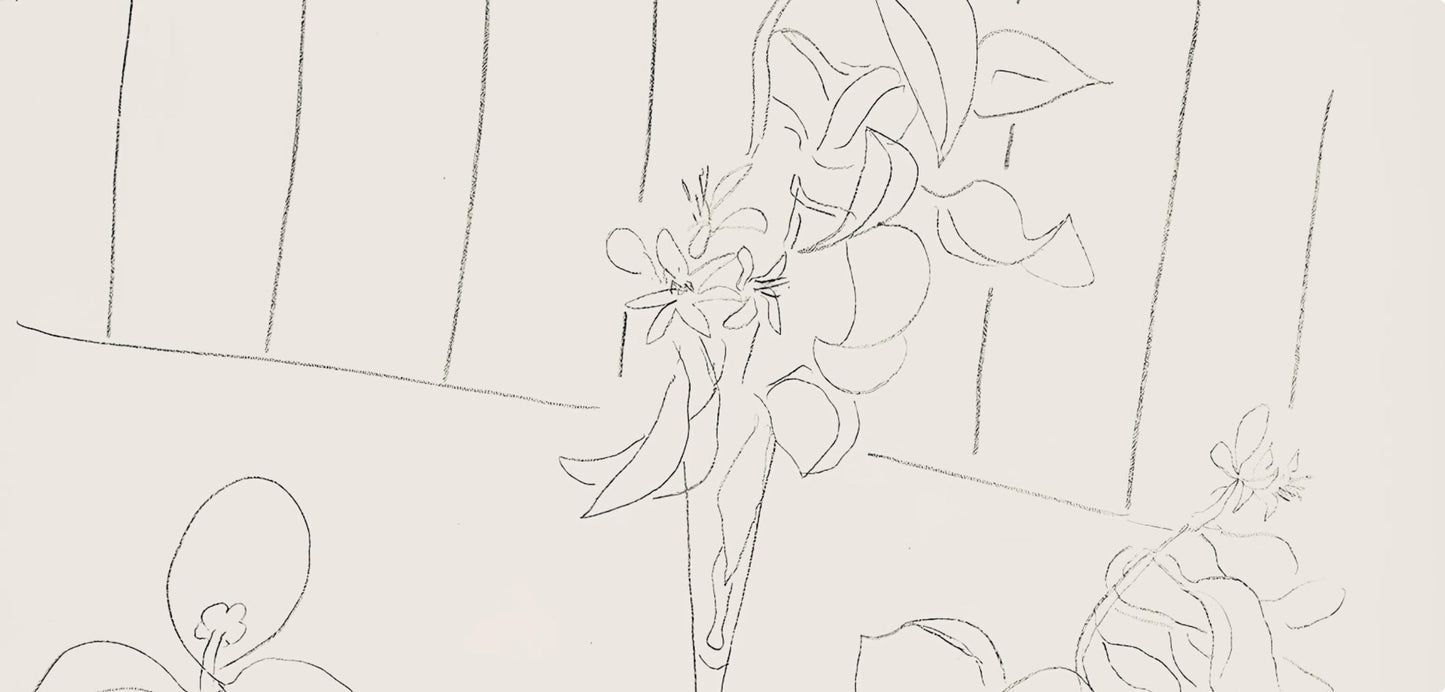 Henri Matisse, Srie M, Var. 4 (Duthuit 9), Henri Matisse, Dessins, Thmes Et Variations, Lithograph