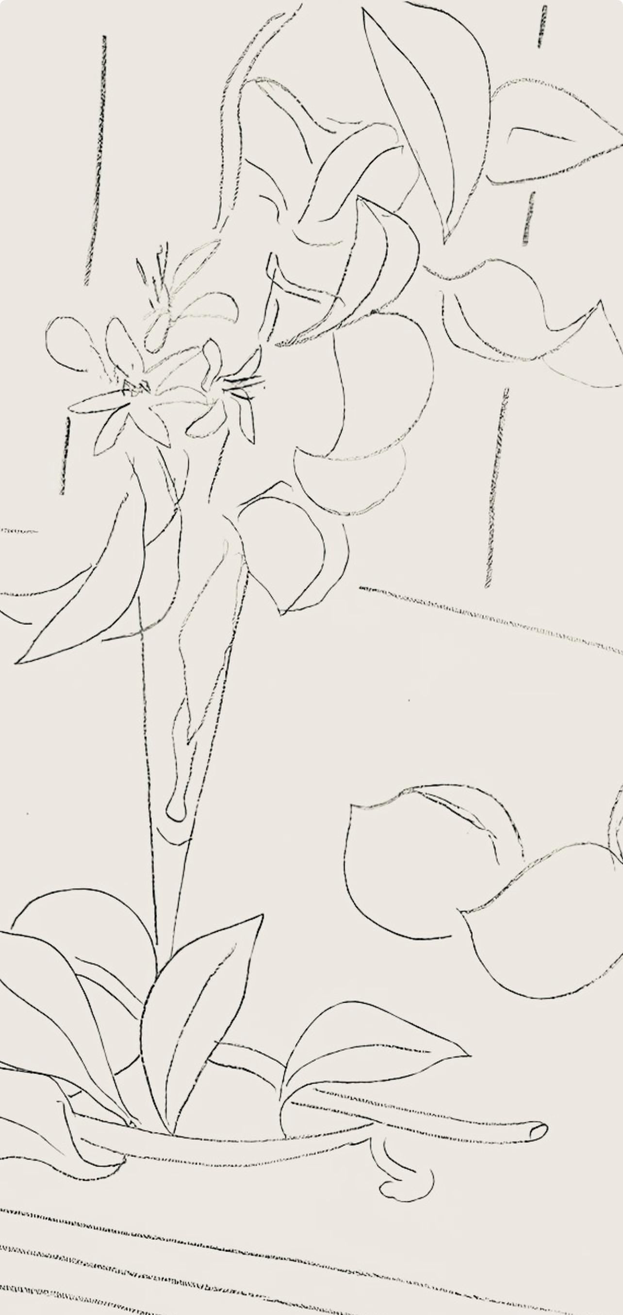 Henri Matisse, Srie M, Var. 4 (Duthuit 9), Henri Matisse, Dessins, Thmes Et Variations, Lithograph