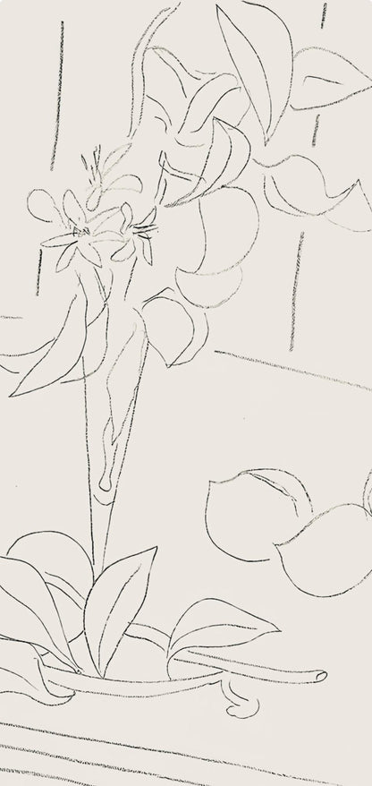 Henri Matisse, Srie M, Var. 4 (Duthuit 9), Henri Matisse, Dessins, Thmes Et Variations, Lithograph
