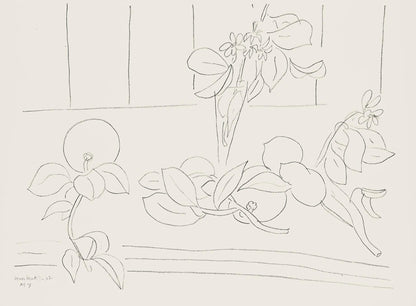 Henri Matisse, Srie M, Var. 7 (Duthuit 9), Henri Matisse, Dessins, Thmes Et Variations, Lithograph