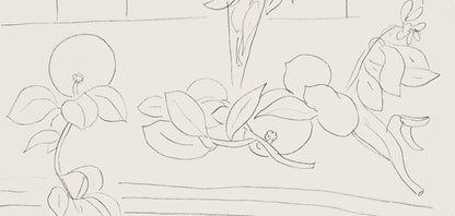 Henri Matisse, Srie M, Var. 7 (Duthuit 9), Henri Matisse, Dessins, Thmes Et Variations, Lithograph