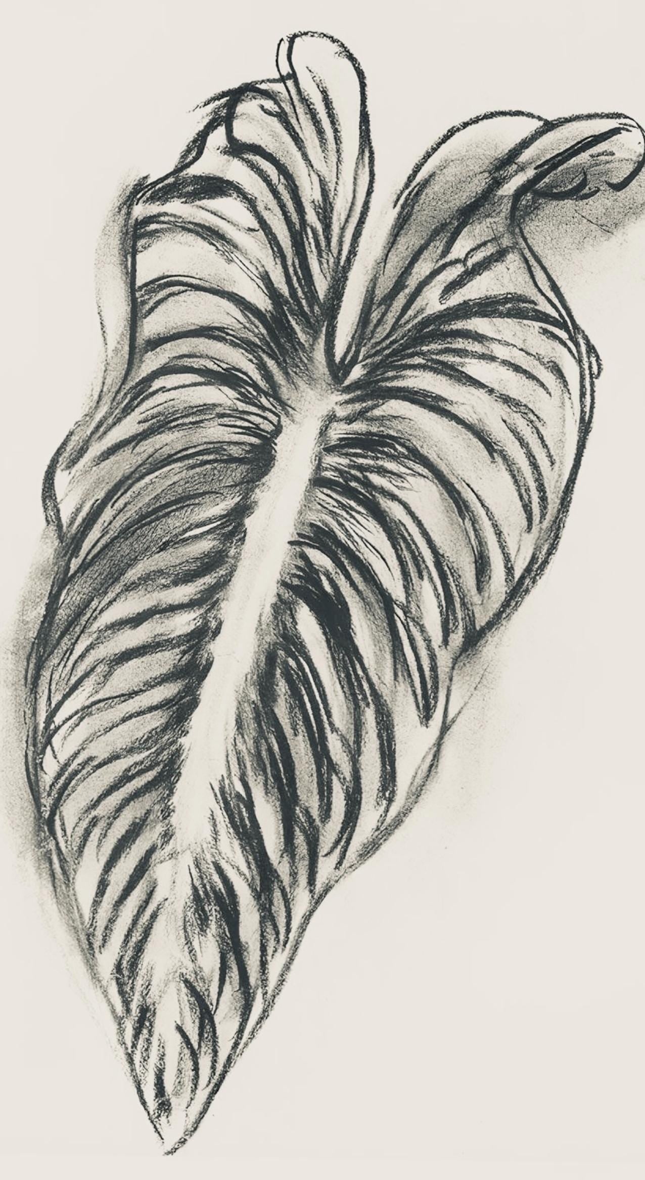 Henri Matisse, Srie N Gc'S, Var. 1 (Duthuit 9), Henri Matisse, Dessins, Thmes Et Variations,