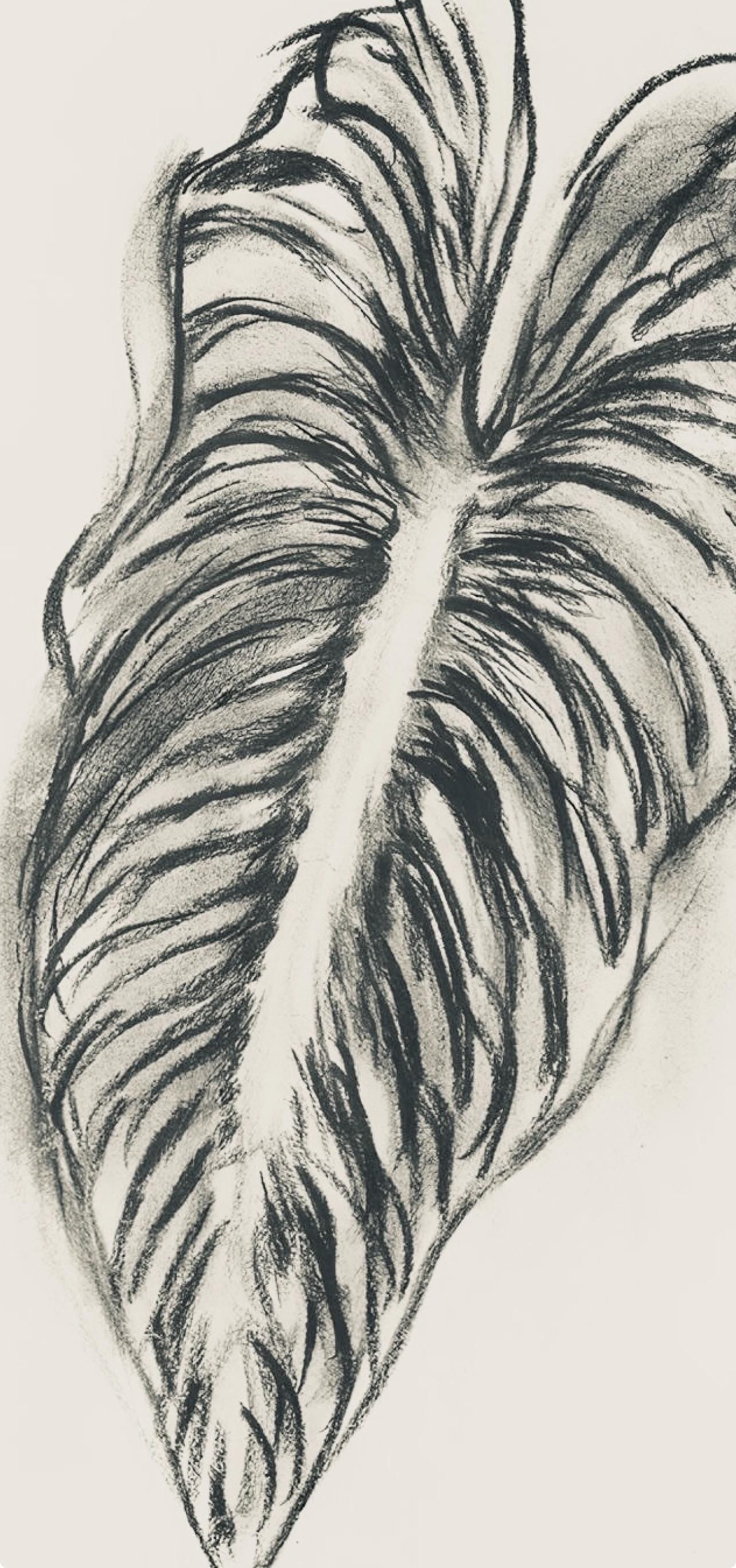 Henri Matisse, Srie N Gc'S, Var. 1 (Duthuit 9), Henri Matisse, Dessins, Thmes Et Variations,