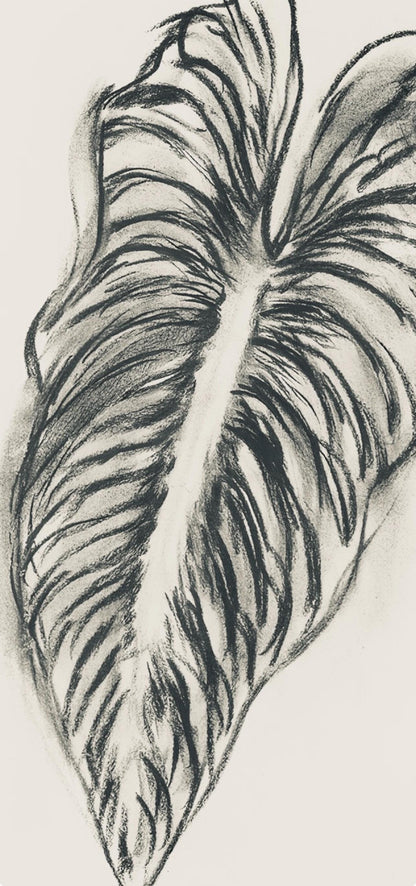 Henri Matisse, Srie N Gc'S, Var. 1 (Duthuit 9), Henri Matisse, Dessins, Thmes Et Variations,