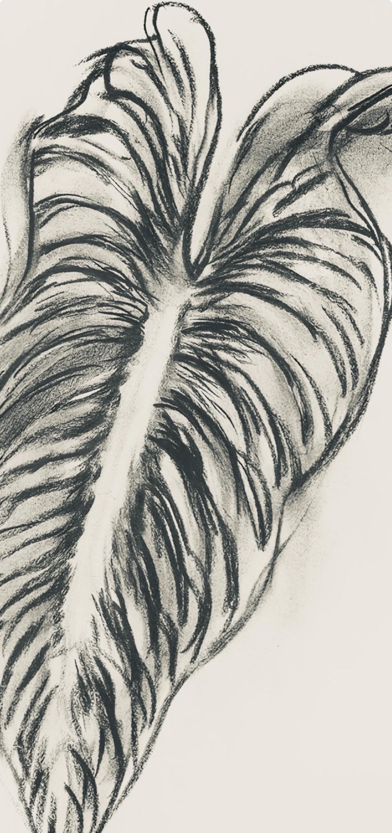 Henri Matisse, Srie N Gc'S, Var. 1 (Duthuit 9), Henri Matisse, Dessins, Thmes Et Variations,