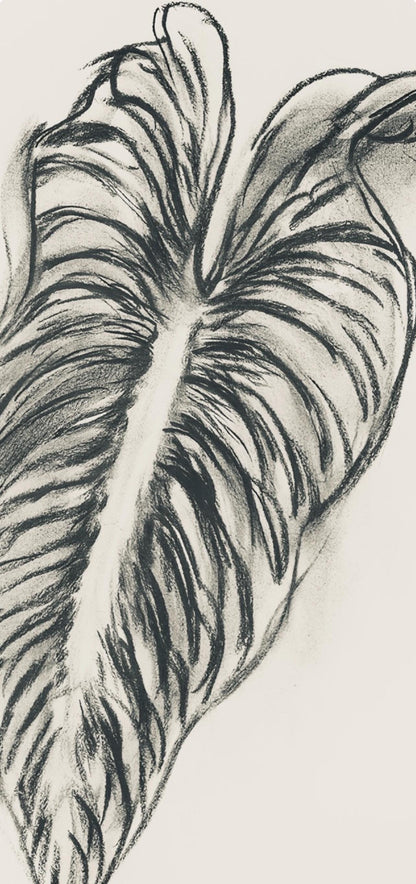 Henri Matisse, Srie N Gc'S, Var. 1 (Duthuit 9), Henri Matisse, Dessins, Thmes Et Variations,