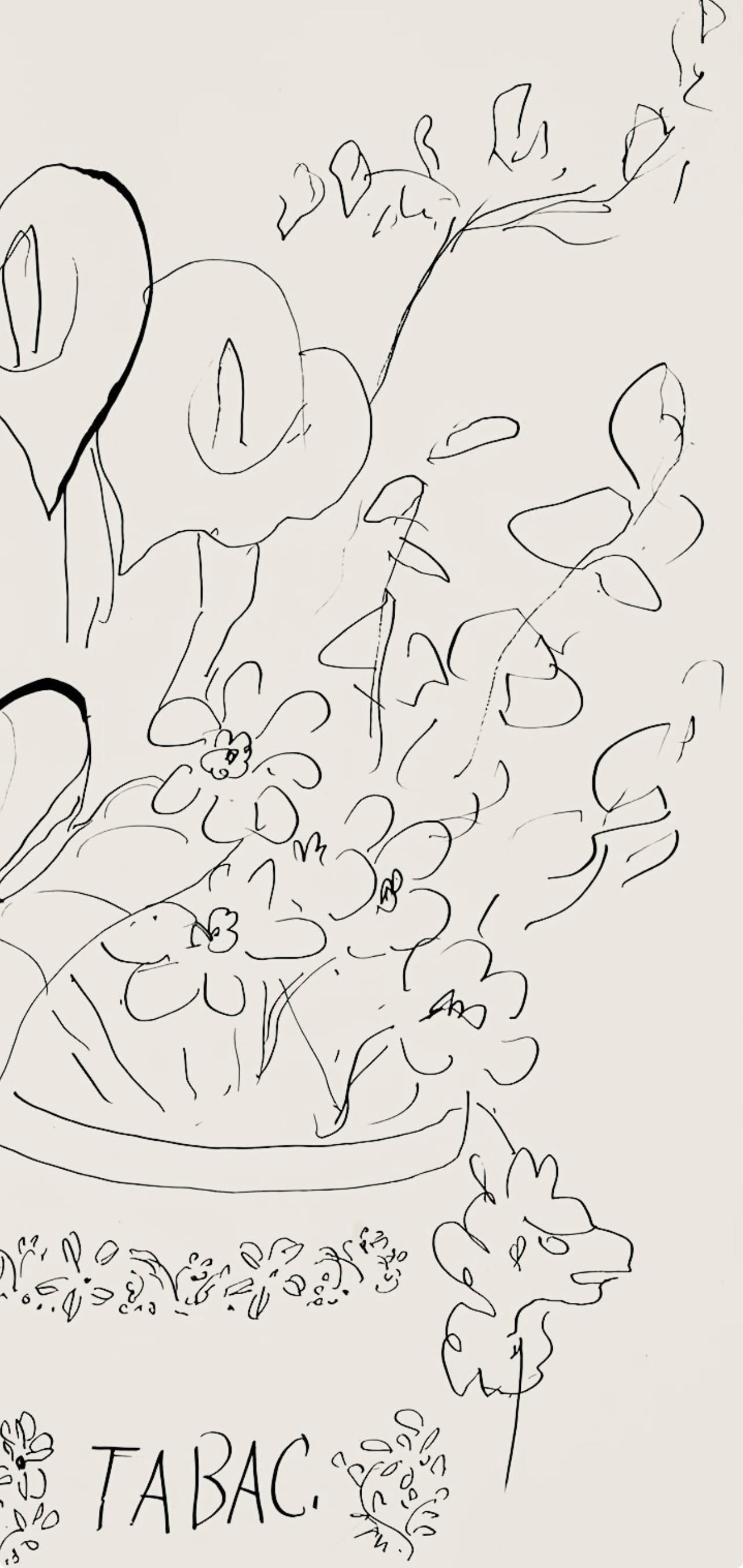 Henri Matisse, Srie N Gc'S, Var. 5 (Duthuit 9), Henri Matisse, Dessins, Thmes Et Variations,