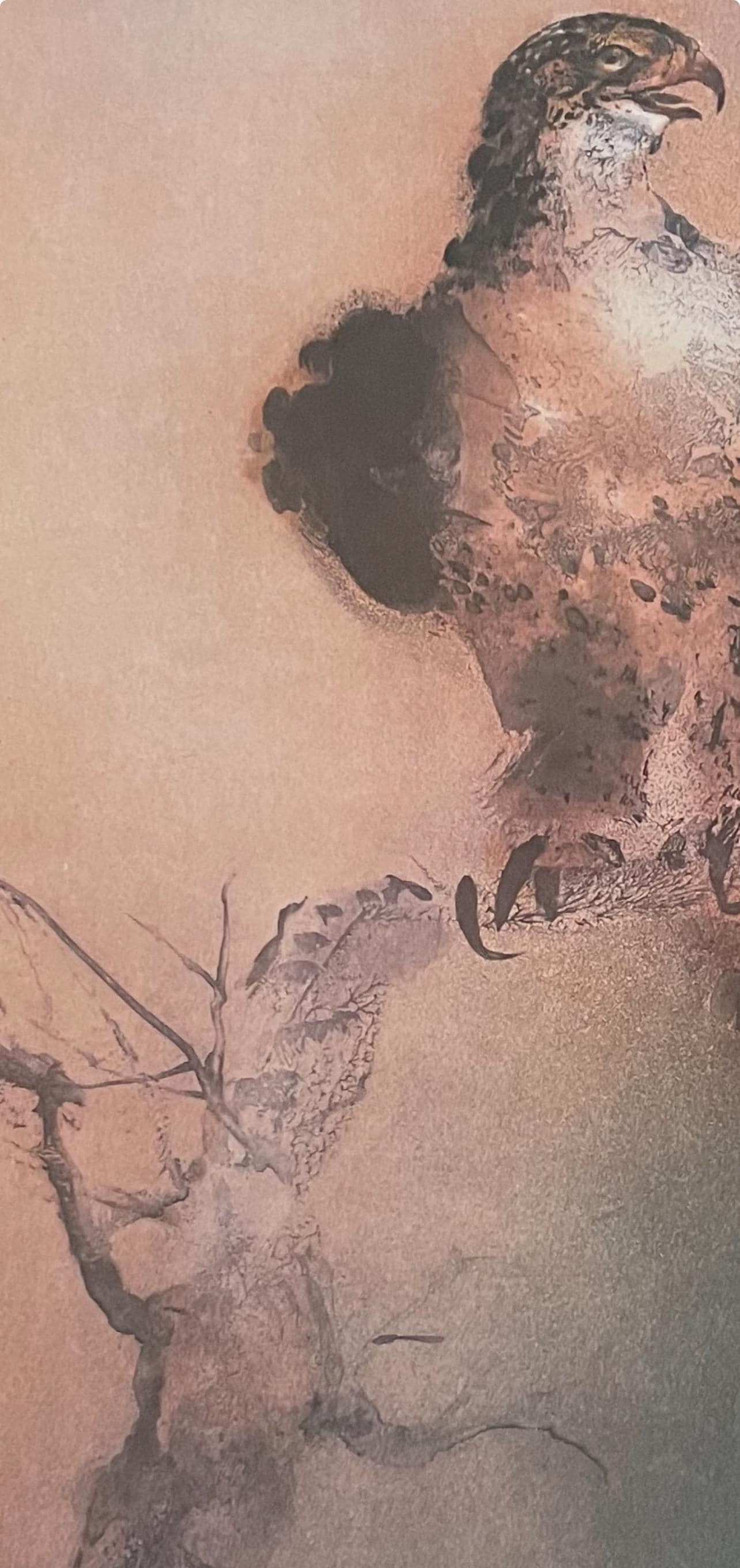 Kaiko Moti, Falcon, Original Edition Offset Lithograph