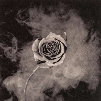 Robert Mapplethorpe, Rose With Smoke, A Season In Hell, Photogravure