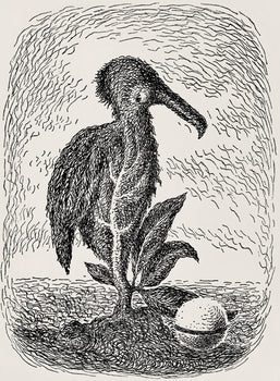 Ren Magritte, Composition, Les Chants De Maldoror, Lithograph