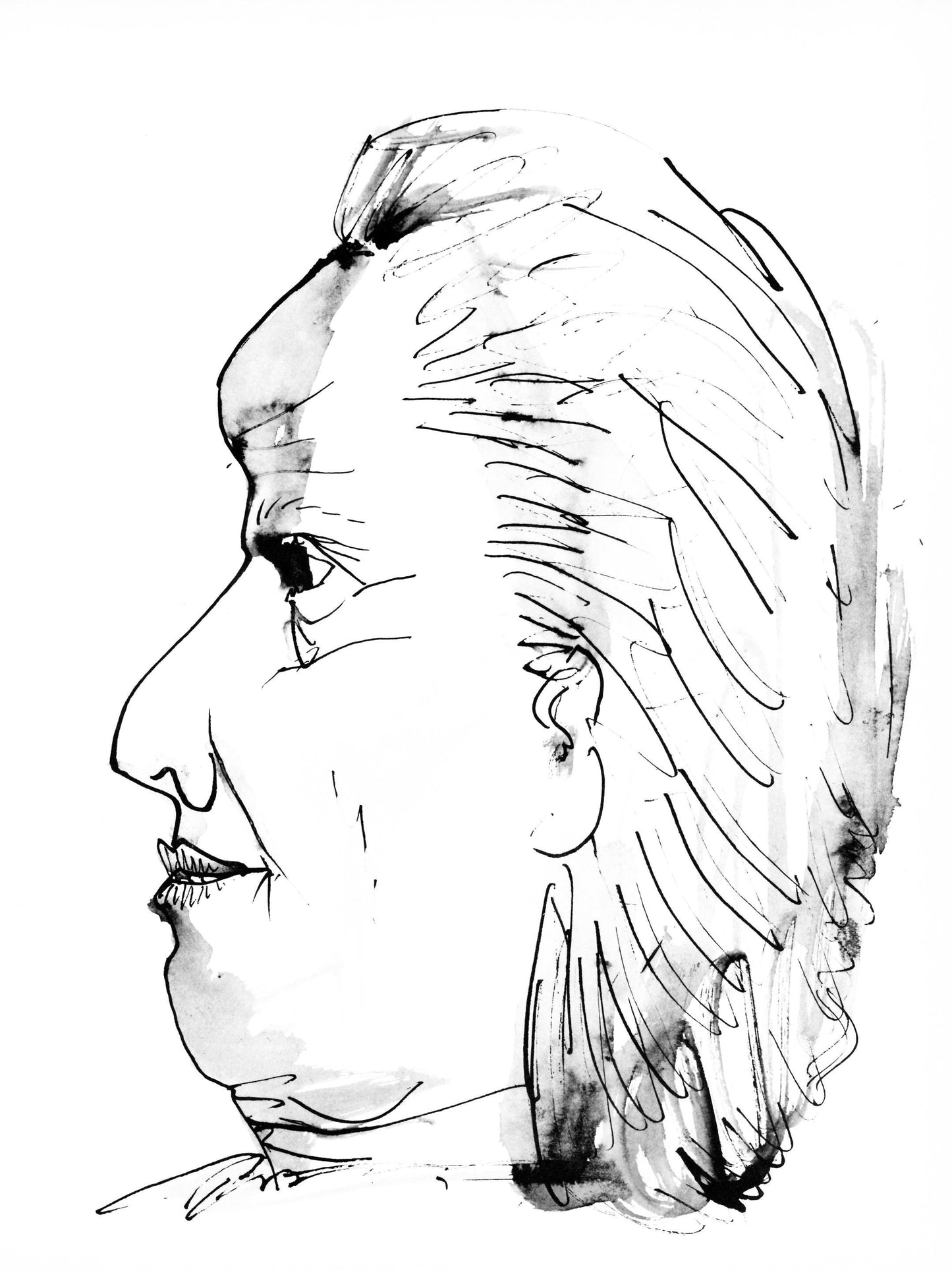 Pablo Picasso, Profil De Vieille Femme, Trait Et Lavis (Cramer 84; Johnson/Stein 77), Collotype