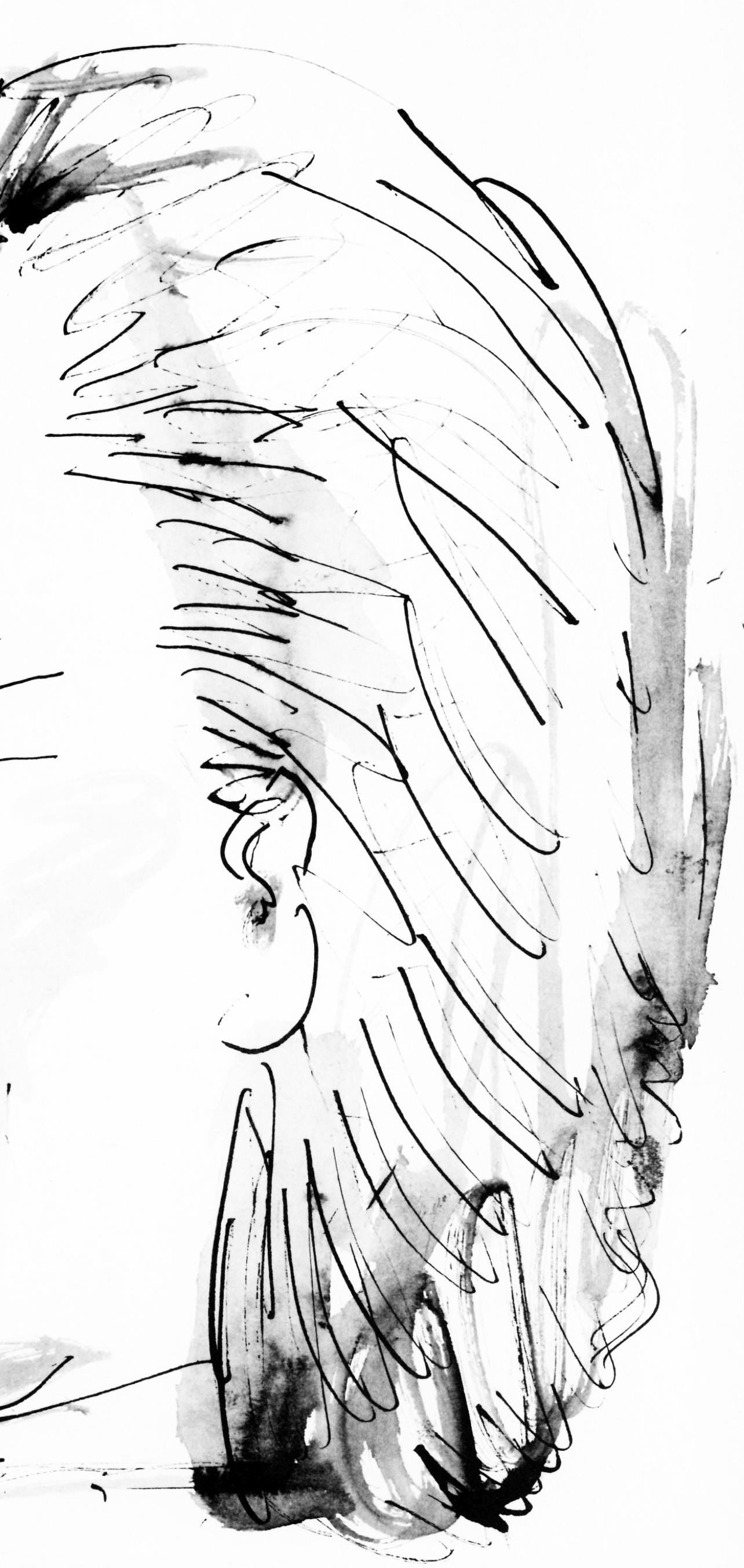 Pablo Picasso, Profil De Vieille Femme, Trait Et Lavis (Cramer 84; Johnson/Stein 77), Collotype