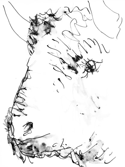 Pablo Picasso, Tte De Taureau (Cramer 84; Johnson/Stein 77), 40 Dessins De Picasso En Marge Du