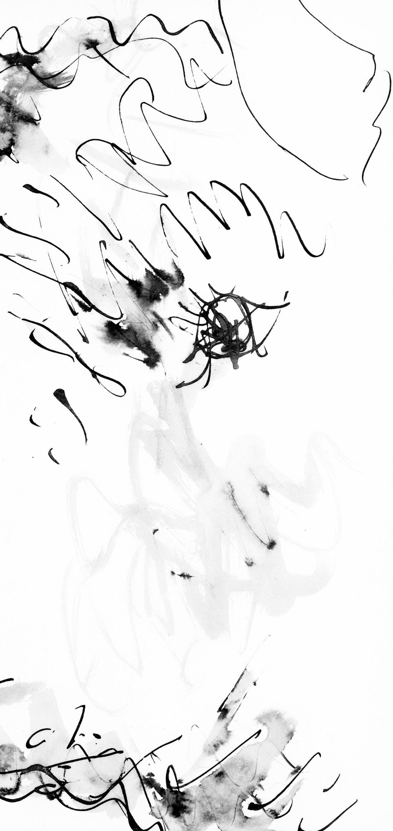 Pablo Picasso, Tte De Taureau (Cramer 84; Johnson/Stein 77), 40 Dessins De Picasso En Marge Du