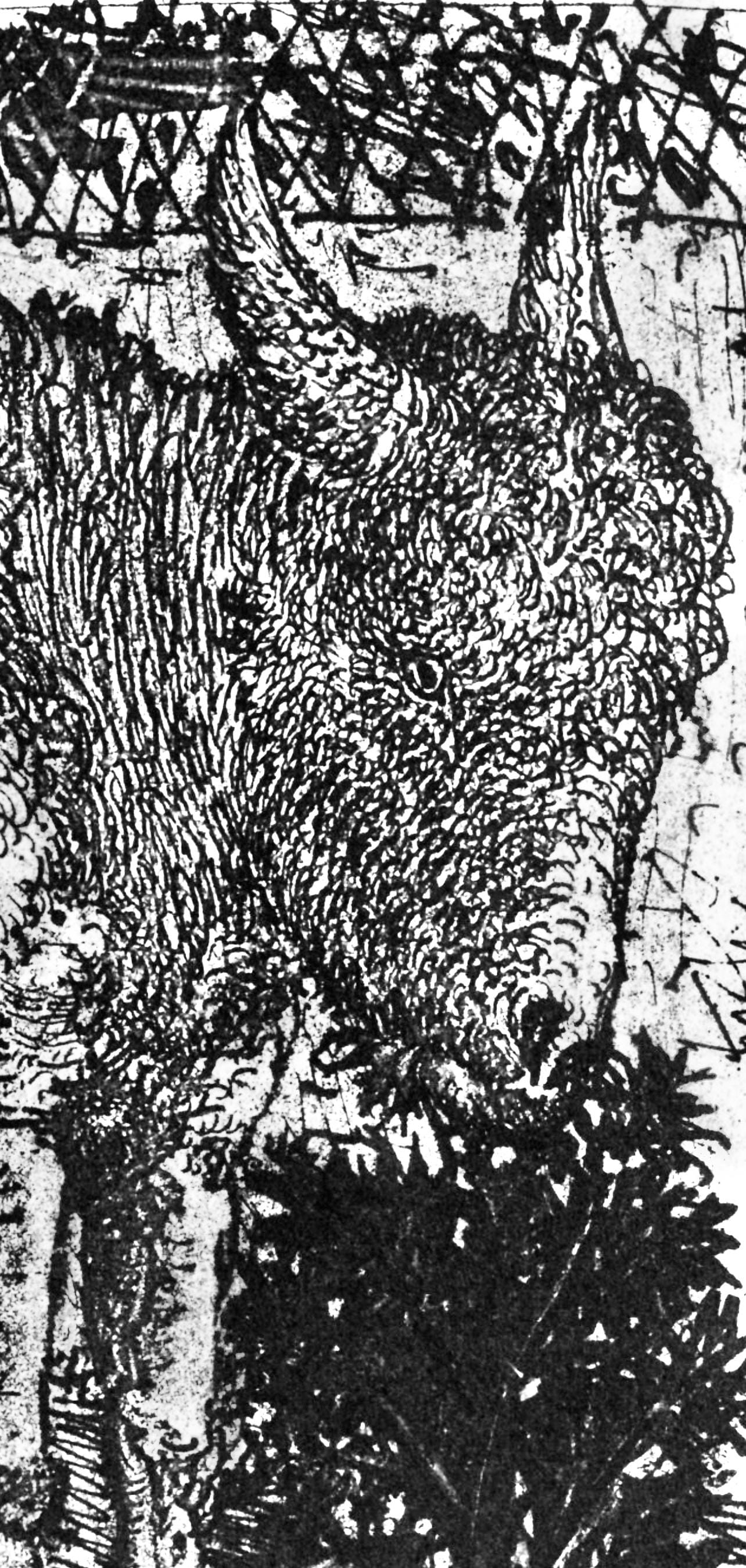 Pablo Picasso, Anes, Sur Une Planche Grave (Cramer 84; Johnson/S. 77), 40 Dessins De Picasso En