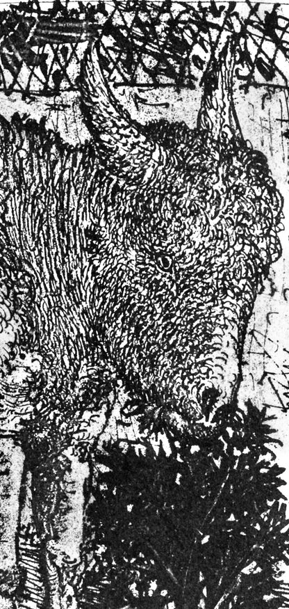 Pablo Picasso, Anes, Sur Une Planche Grave (Cramer 84; Johnson/S. 77), 40 Dessins De Picasso En