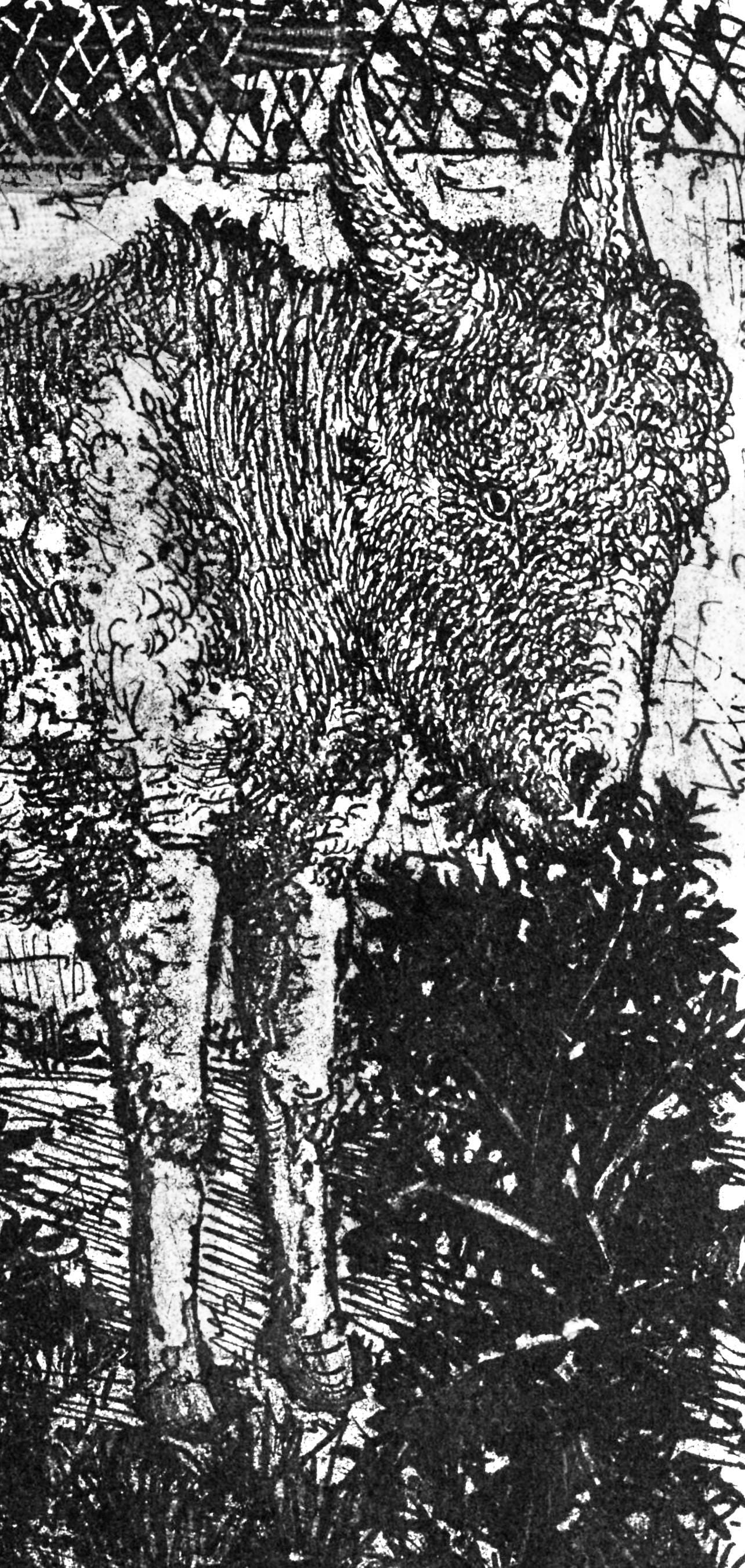 Pablo Picasso, Anes, Sur Une Planche Grave (Cramer 84; Johnson/S. 77), 40 Dessins De Picasso En