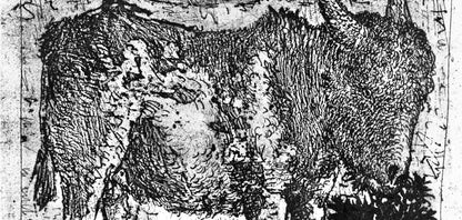 Pablo Picasso, Anes, Sur Une Planche Grave (Cramer 84; Johnson/S. 77), 40 Dessins De Picasso En