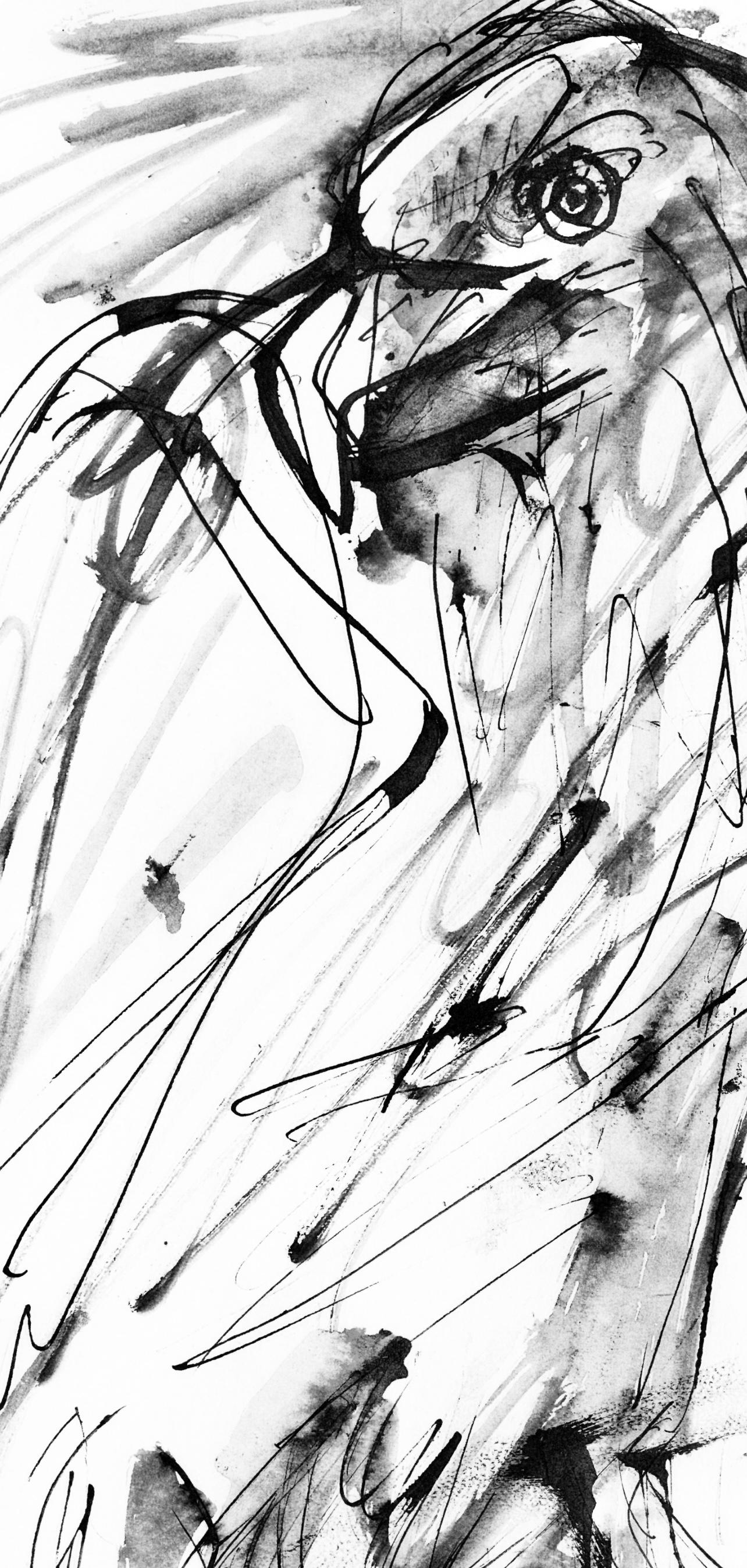 Pablo Picasso, Un Aigle (Cramer 84; Johnson/Stein 77), 40 Dessins De Picasso En Marge Du Buffon,