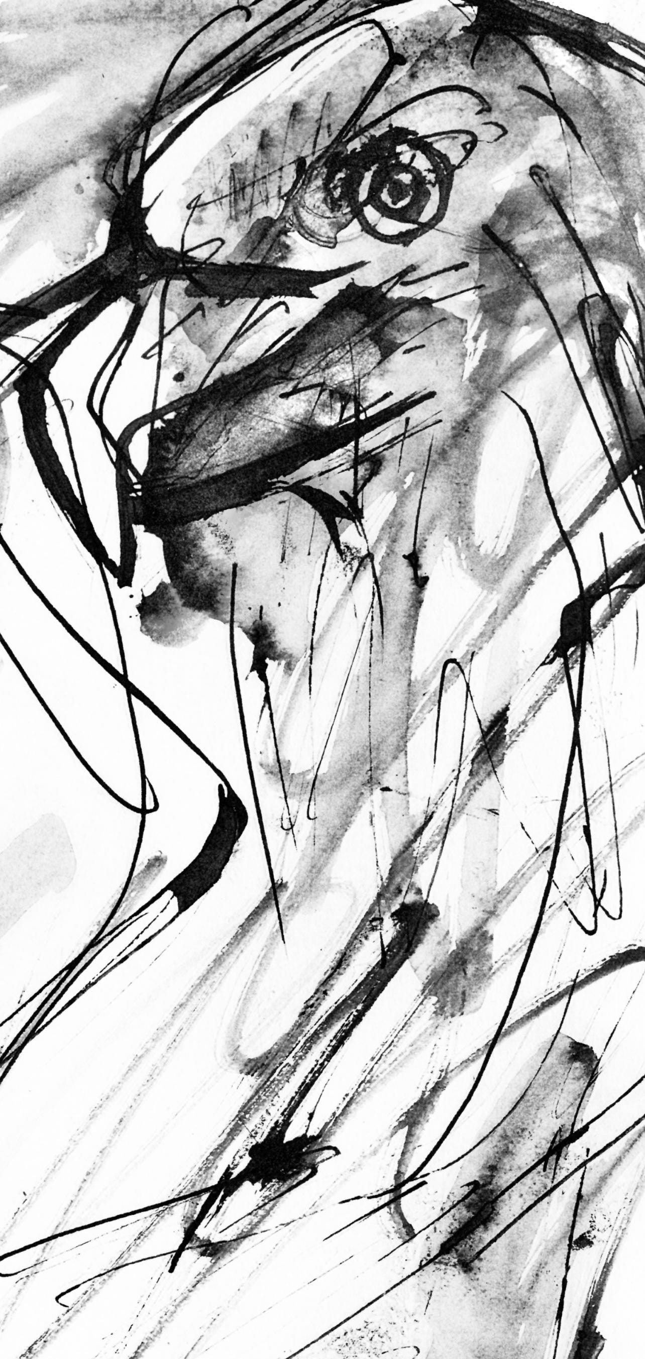 Pablo Picasso, Un Aigle (Cramer 84; Johnson/Stein 77), 40 Dessins De Picasso En Marge Du Buffon,