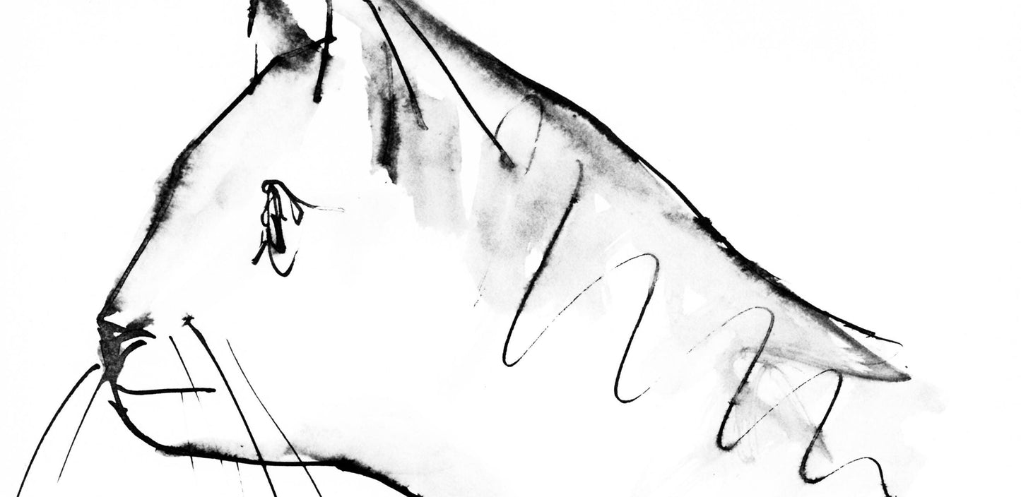 Pablo Picasso, Un Chat (Cramer 84; Johnson/Stein 77), 40 Dessins De Picasso En Marge Du Buffon,