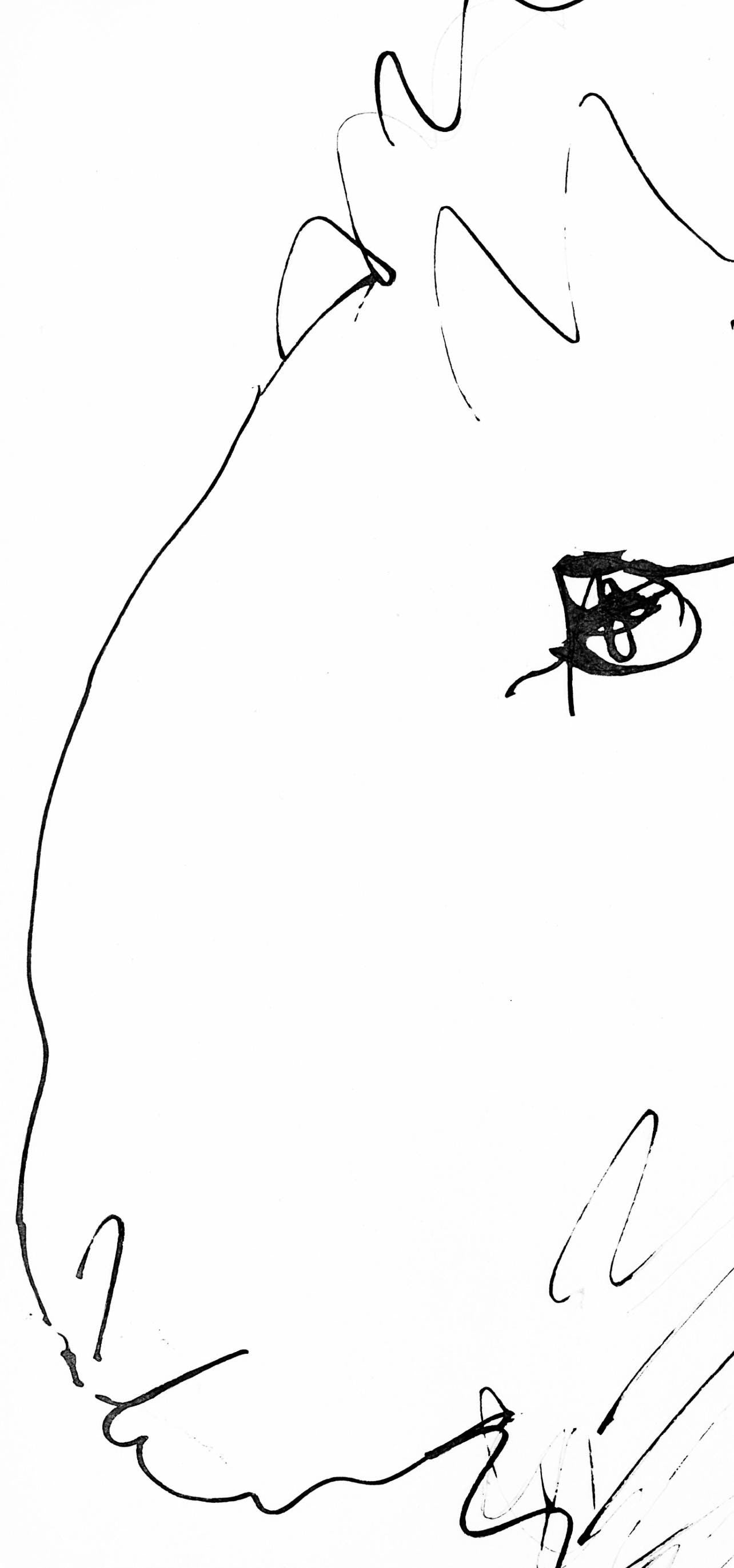 Pablo Picasso, Tte De Blier (Cramer 84; Johnson/Stein 77), 40 Dessins De Picasso En Marge Du